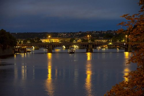 DSC05041
