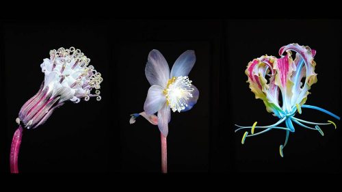 20251118_140808a copy