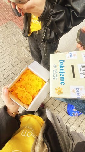 2FD25333-39CF-41A4-9182-1D314251DC03